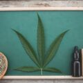 CBG vs CBD