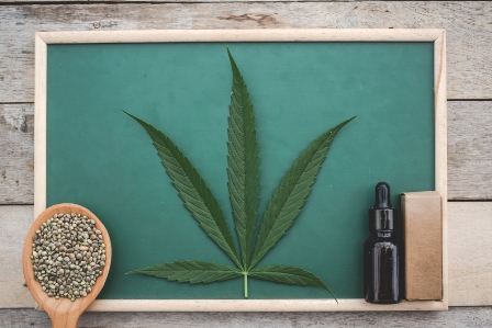 CBG vs CBD
