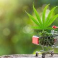 CBD Store