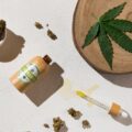 Green Dragon CBD