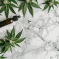CBD Stone
