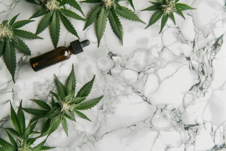 CBD Stone