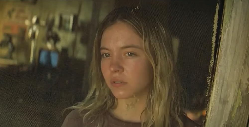 Sydney Sweeney Net Worth