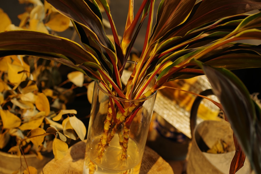 full spectrum cbd oil bottle with hemp leaves