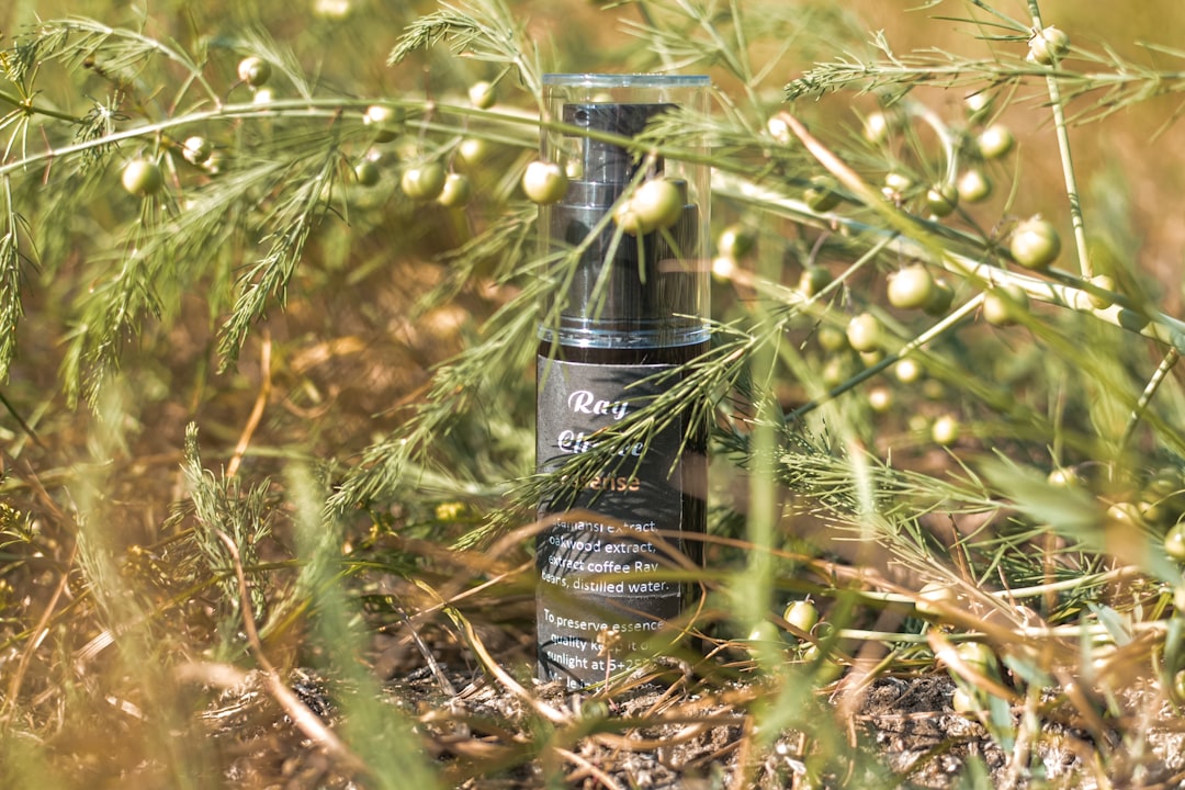 hemp derived cbd oil bottle and hemp plant