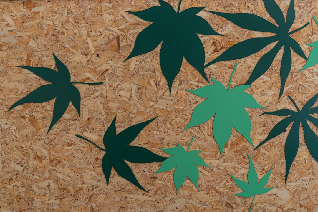 ancient cannabis medicinal use illustration