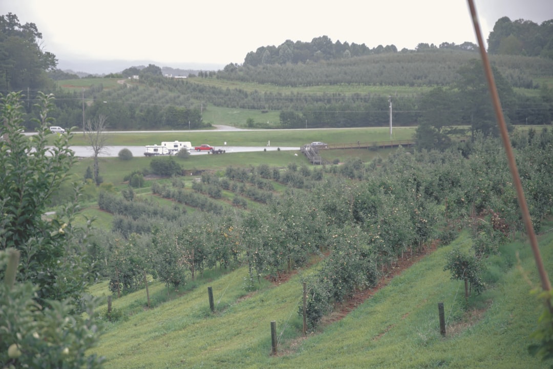 organic hemp farm cbd oil extraction