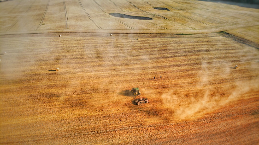 unflavored cbd oil dropper on natural wood background
